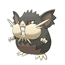 raticate-totem-alola