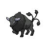tauros-paldea-combat-breed
