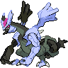 kyurem-black shiny