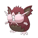 raticate-totem-alola shiny