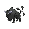 tauros-paldea-combat-breed shiny