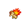 cyndaquil shiny
