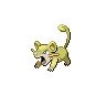 rattata shiny