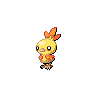 torchic shiny