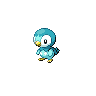 piplup shiny