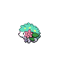 shaymin-land shiny