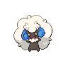 whimsicott shiny