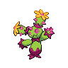 maractus shiny