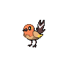 fletchling shiny
