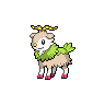 skiddo shiny