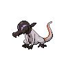 salandit shiny