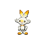 scorbunny shiny