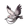 bombirdier shiny